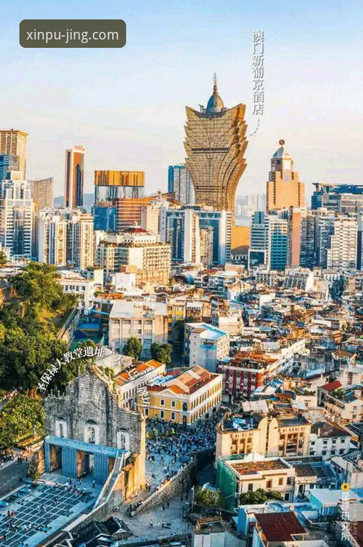 新浦京娱乐平台实用指南:XPJ苹果版下载与体验必备知识